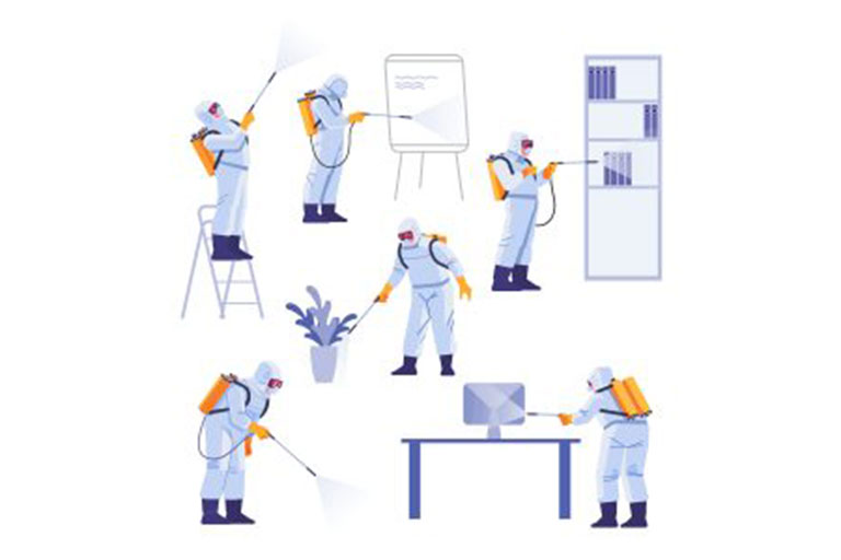Pest Control price in Delhi