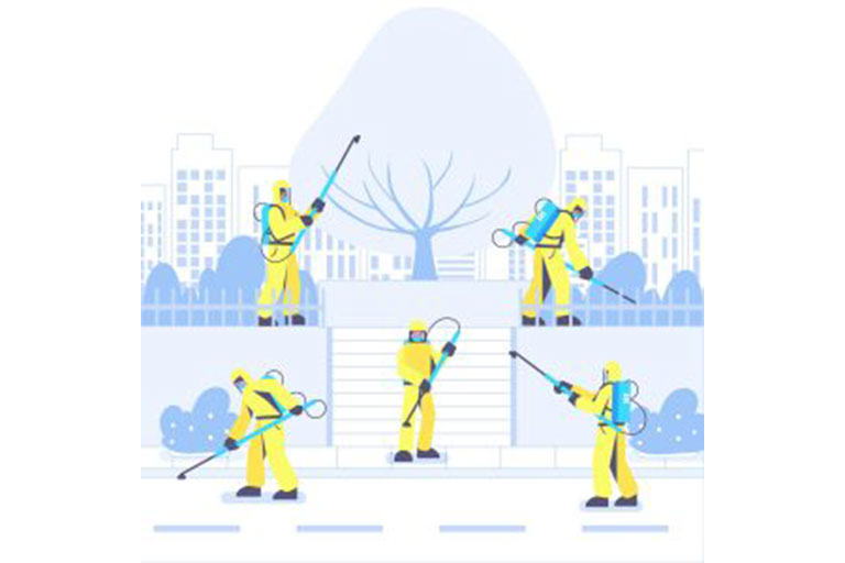 Pest Control price in Delhi