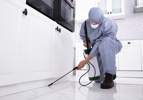 Best Pest Control Services in Ghaziabad
