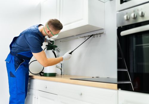 Best Pest Control Services in Ghaziabad